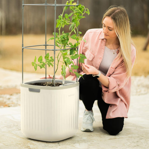Self-Watering Raised Garden Planter with Trellis & Wheels