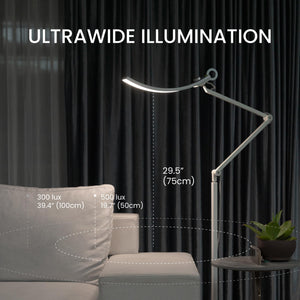 e-Reading Floor Lamp – Dimmable, 13 Color Modes, Adjustable Arm, Matte Silver