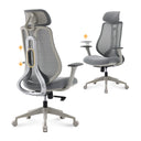 Ergonomic Mesh High-Back Office Chair with 3D Armrests