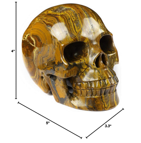 Tiger Iron Eye Crystal Skull Sculpture – 5 Inch Hand Carved Gemstone