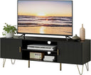 TV Stand for 55-65 Inch TV with Storage Cabinets and Gold Accents
