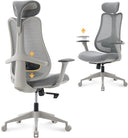 Fluido Ergonomic High Back Mesh Office Chair with Adjustable Lumbar Support & 3D Armrests