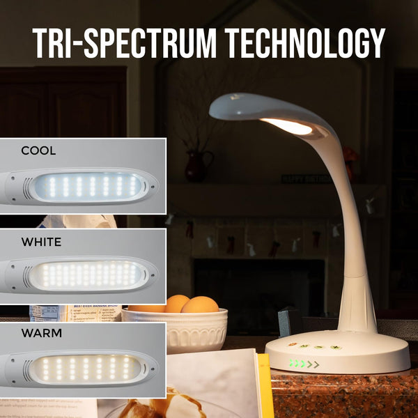 Portable Dimmable Task Lamp with Remote Control