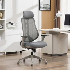 Ergonomic Mesh High-Back Office Chair with 3D Armrests