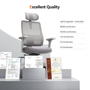 Ergonomic High-Back Office Chair with Auto Lumbar Support