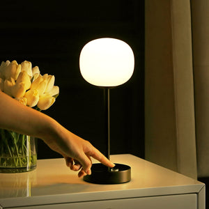 Rechargeable Cordless LED Table Lamp with Frosted Glass Globe