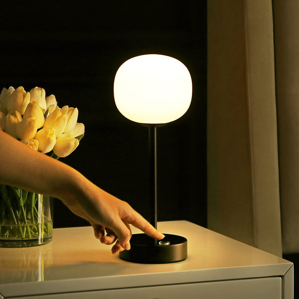Rechargeable Cordless LED Table Lamp with Frosted Glass Globe