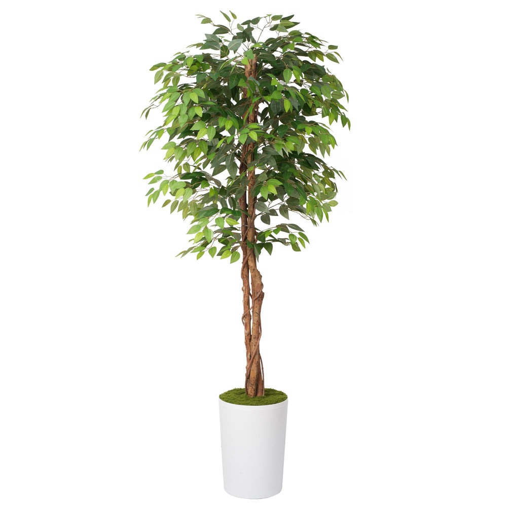 7 ft Artificial Ficus Tree with Planter