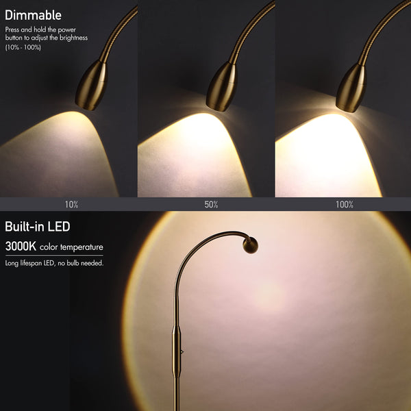 Adjustable LED Gooseneck Floor Lamp – Dimmable Zoomable Spotlight