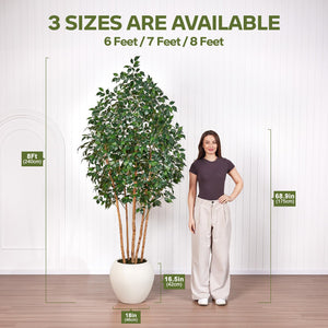 Artificial Ficus Tree Indoor with Wood Trunk & Silk Leaves — 6ft, 7ft, 8ft