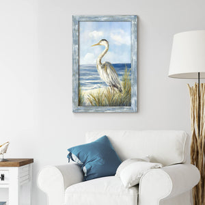 Framed Coastal Seabird Wall Art Print