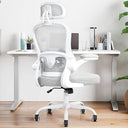 Ergonomic Mesh Office Chair with Lumbar Support & Headrest