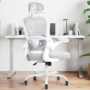 Ergonomic Mesh Office Chair with Lumbar Support & Headrest