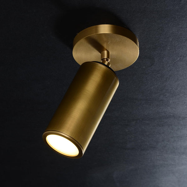 Adjustable Brass Ceiling Spotlight – Dimmable Directional Wall Light Fixture