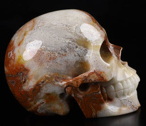 Red Crazy Lace Agate Crystal Skull Sculpture
