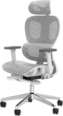 Ergonomic Mesh Office Chair with Adjustable Lumbar Support