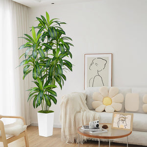 Tall Artificial Dracaena Tree with White Planter