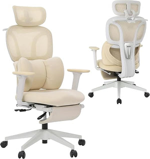 Ergonomic High Back Office Chair with Fixed Lumbar Support & Detachable Pillow