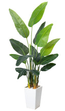 Bird of Paradise Artificial Plant 6.8 FT with White Planter