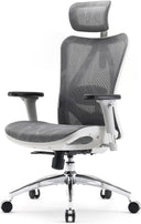 Ergonomic Mesh Office Chair High Back with Lumbar Support & Adjustable Headrest