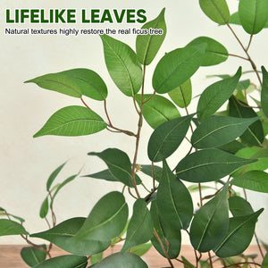 6 ft Artificial Ficus Tree with White Planter