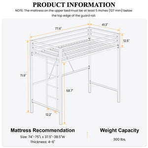 Twin Metal Loft Bed with Ladder and Guardrail