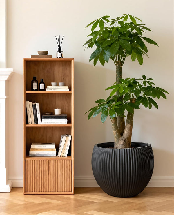 Large Plant Pots with Drainage – Indoor & Outdoor