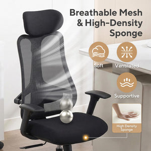 Fluido Ergonomic High Back Mesh Office Chair with Adjustable Lumbar Support & 3D Armrests