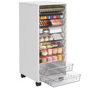 10-Drawer Rolling Storage Cart with Clear Drawers