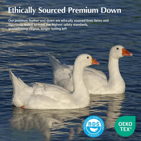 White Goose Down Comforter – All Season Baffle Box Duvet Insert