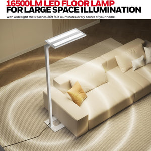 LED Dual-Source Smart Floor Lamp