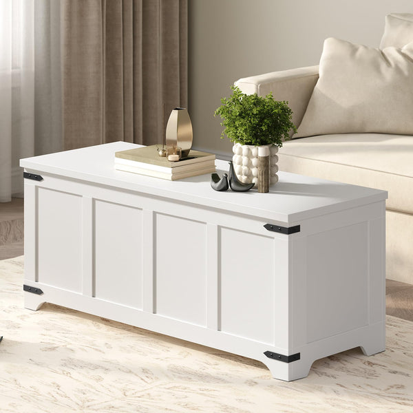 Storage Chest with Safety Hinges & Shoe Bench
