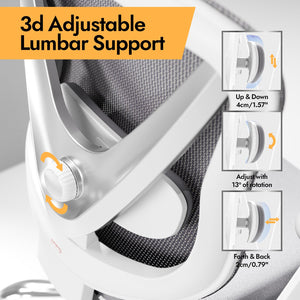 Ergonomic Mesh Office Chair with 3D Lumbar Support & Adjustable Armrests