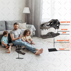 T-Rex Skull Dinosaur Statue