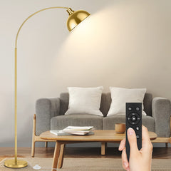 Arc Floor Lamp with Remote & Dome Shade