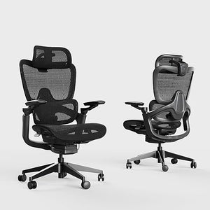 Ergonomic Mesh Office Chair with 3D Lumbar Support, 5D Armrests & 4D Headrest