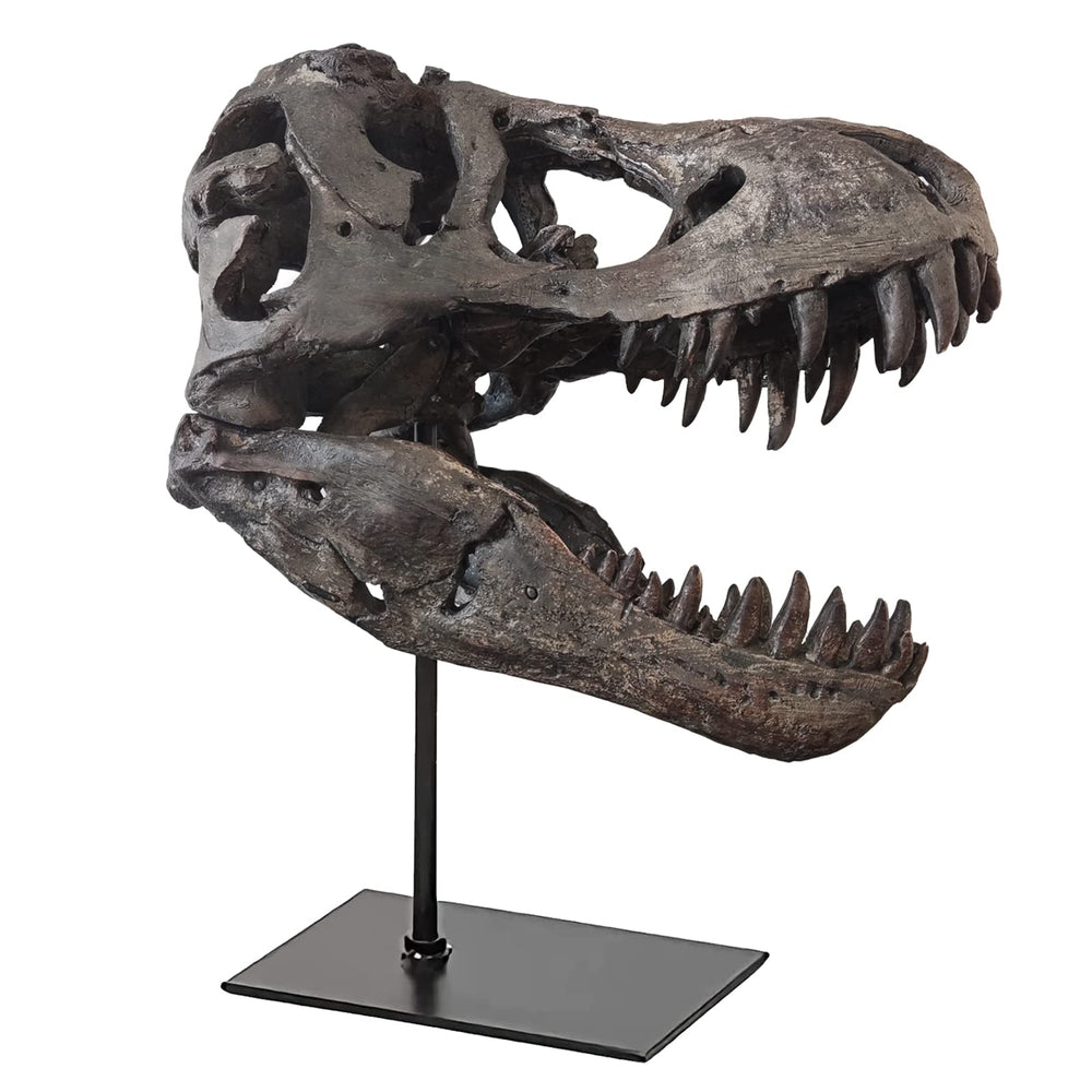 T-Rex Skull Dinosaur Statue