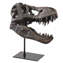T-Rex Skull Dinosaur Statue