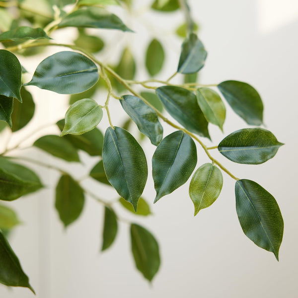 Artificial Ficus Tree – Tall Faux Indoor Floor Plant with White Planter