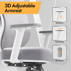 Ergonomic Mesh Office Chair with 3D Lumbar Support & Adjustable Armrests