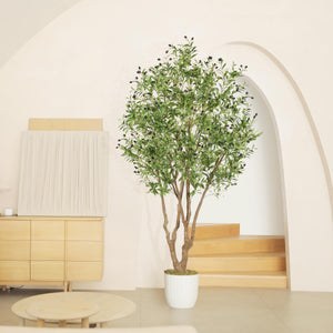 Artificial Olive Tree with Realistic Fruits & Sturdy Base