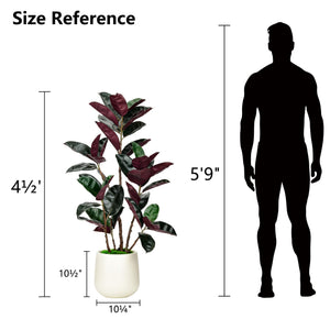 Artificial Rubber Tree with White Pot, 54.5" Tall