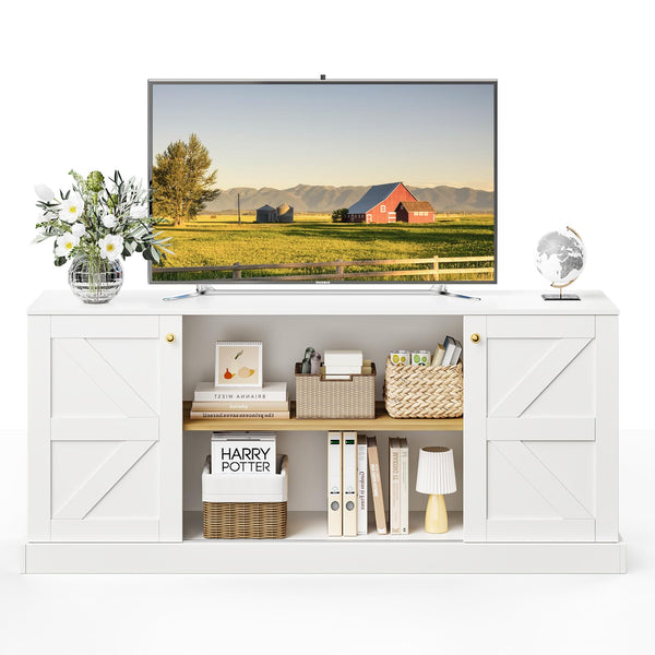 3-Piece Farmhouse TV Stand & Bookcase Set
