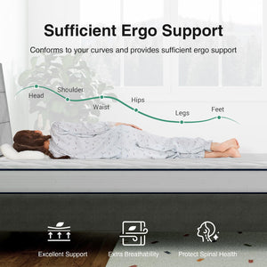Twin XL Hybrid Mattress – 8 Inch Foam & Spring, Medium Firm, Pillow Top