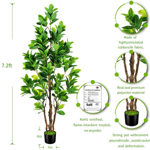 Artificial Rubber Tree 7.2ft Indoor Outdoor Plant