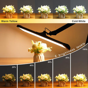 LED Architect Desk Lamp with Swing Arm