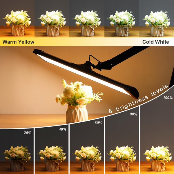 LED Architect Desk Lamp with Swing Arm