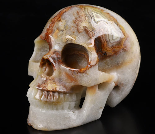 Red Crazy Lace Agate Crystal Skull Sculpture
