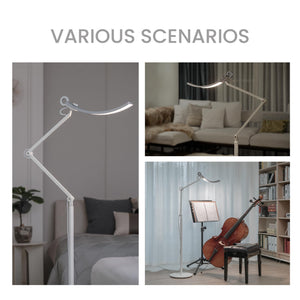 e-Reading Floor Lamp – Dimmable, 13 Color Modes, Adjustable Arm, Matte Silver