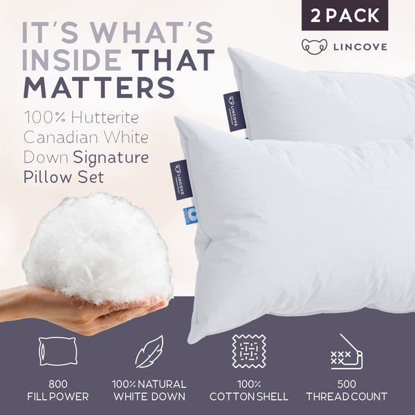 Canadian White Down Luxury Sleeping Pillow – 800 Fill Power, 500TC Cotton Shell